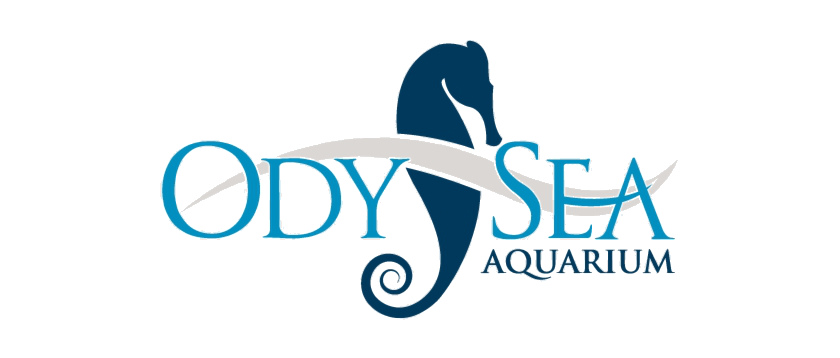 OdySea Aquarium logo
