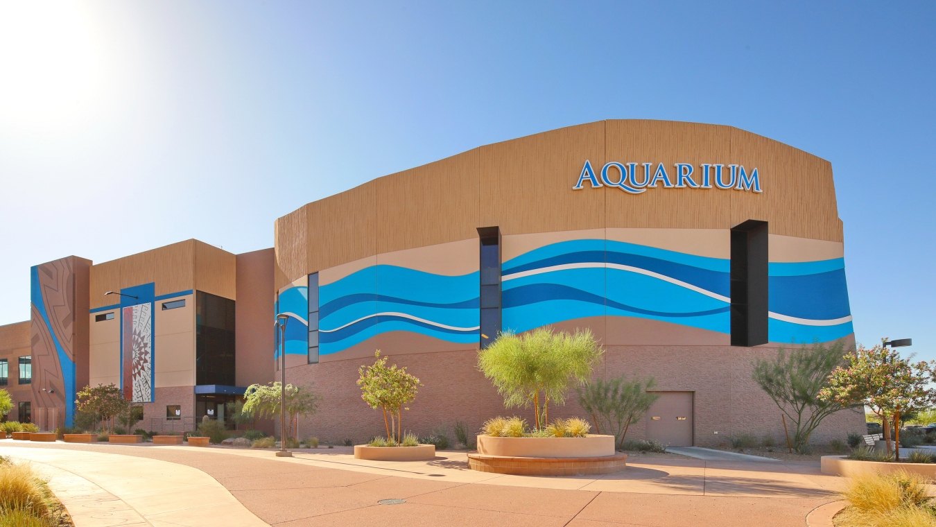 OdySea Aquarium